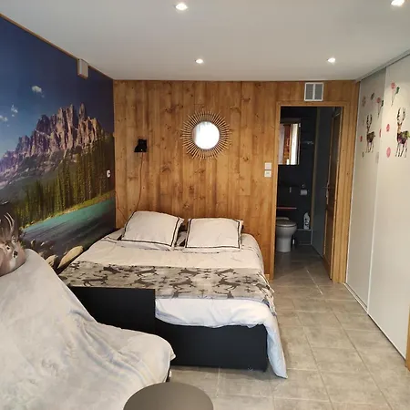 Tres Joli De 25m2 Dans Rdc D'un Chalet. Formiguères