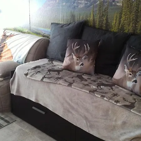 Tres Joli De 25m2 Dans Rdc D'un Chalet. Lejlighed